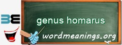 WordMeaning blackboard for genus homarus